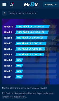 Bonus cashback într-un cont de cazinou pe mobil