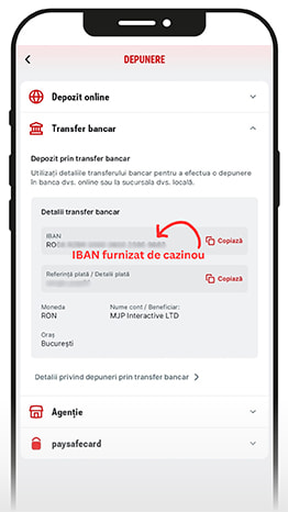 Datele unui cazinou online în vederea depunerii prin transfer bancar.