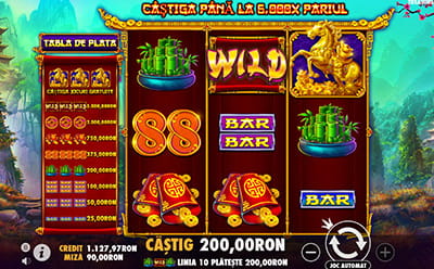 Câștig format cu ajutorul simbolului Wild