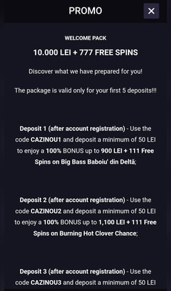 Câmpul Cod promoțional din formularul de depunere Player