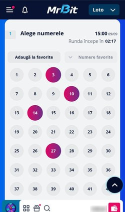 Selectarea numerelor pe biletul de loto - Pasul 4