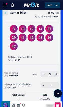 Confirmarea biletului de loto online - Pasul 5