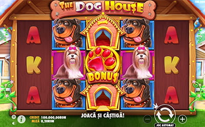 Dog House slot online de la MaxBet Casino