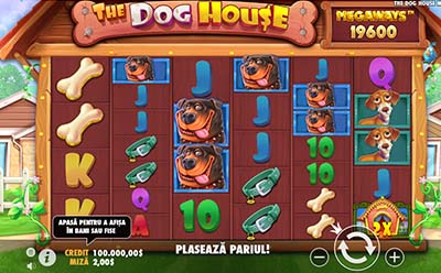 Dog House Megaways
