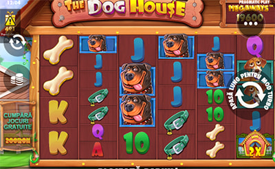 Dog House Megaways Seven Casino
