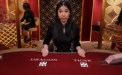 Dragon Tiger Evolution