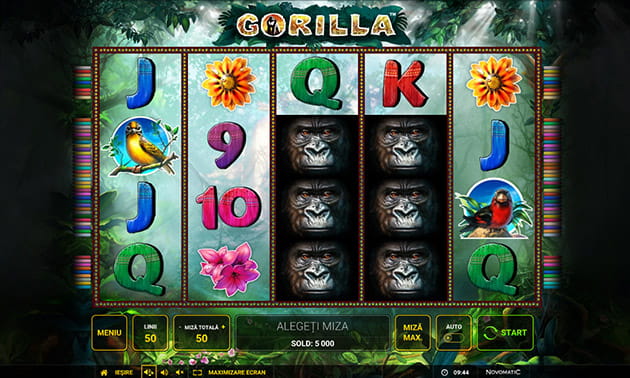 Gorilla Slot de la Novomatic