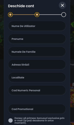 Introducerea CNP-ului și a datelor personale la Spin Casino