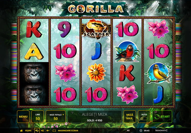 Încercați variantă demo Gorilla aici