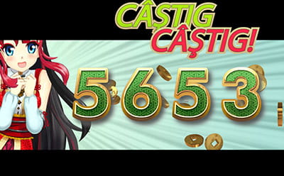 Miza Bonus opțiune de pariu