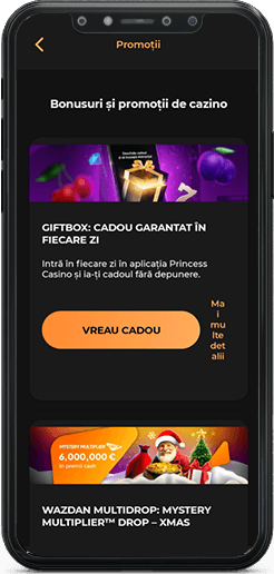 Secțiunea Promoții în aplicația Princess Casino