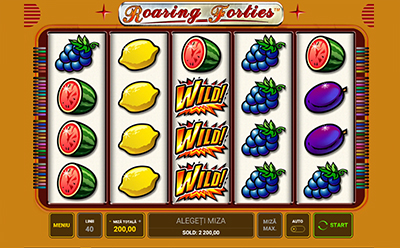 Roaring Forties simbol Wild