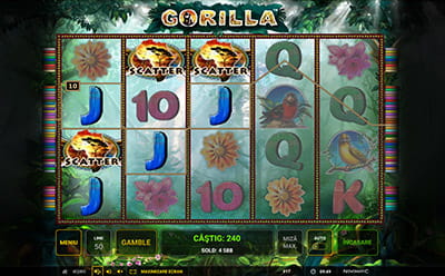 Simbol Scatter – Gorilla