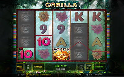 Simbol Wild Gorilla