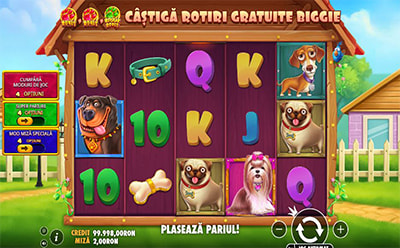 The Big Dog House – slot de la Pragmatic Play