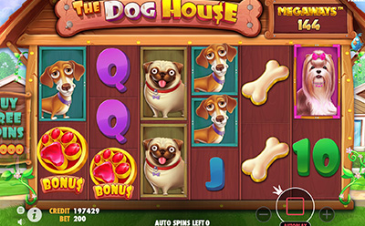 The Dog House Megaways Slot Runde Gratuite