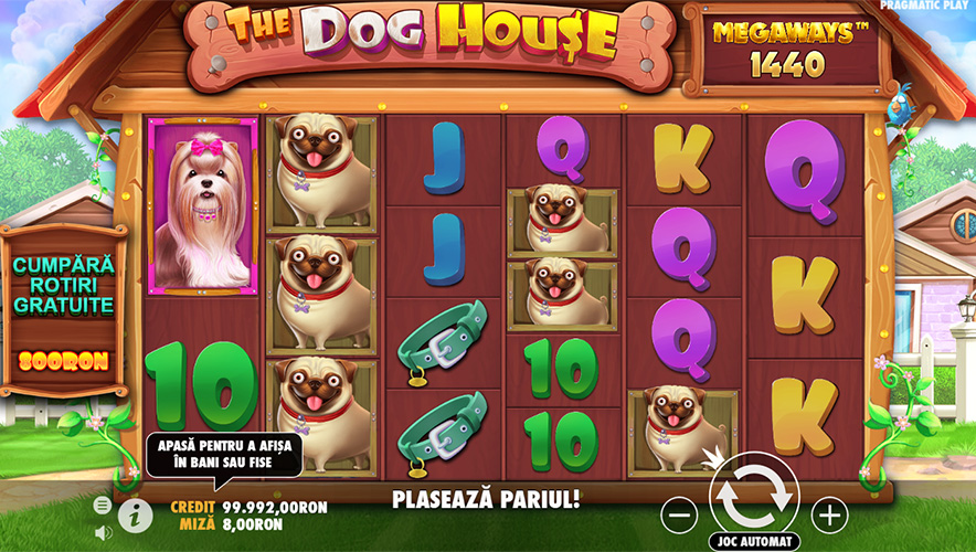 The Dog House Megaways slot