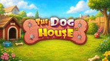 Slotul The Dog House