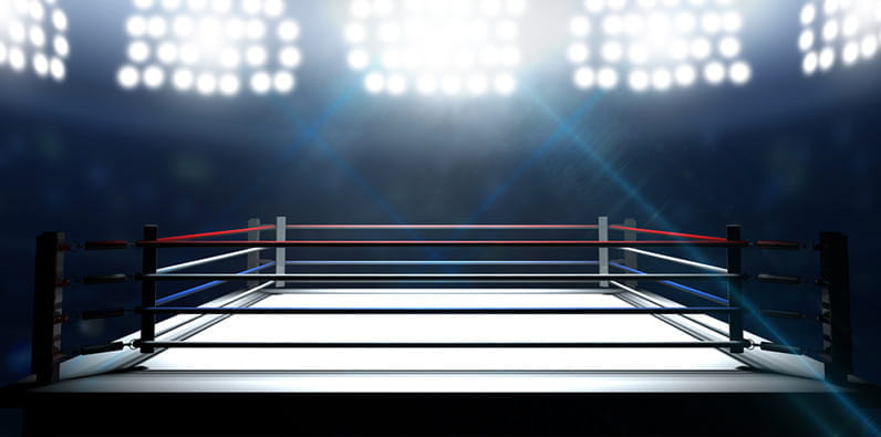 Top plătiți WWE luptători