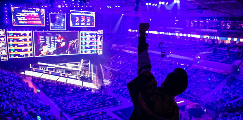 Fanii turneului eSports