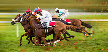  Tradiția chineză a curselor de cai